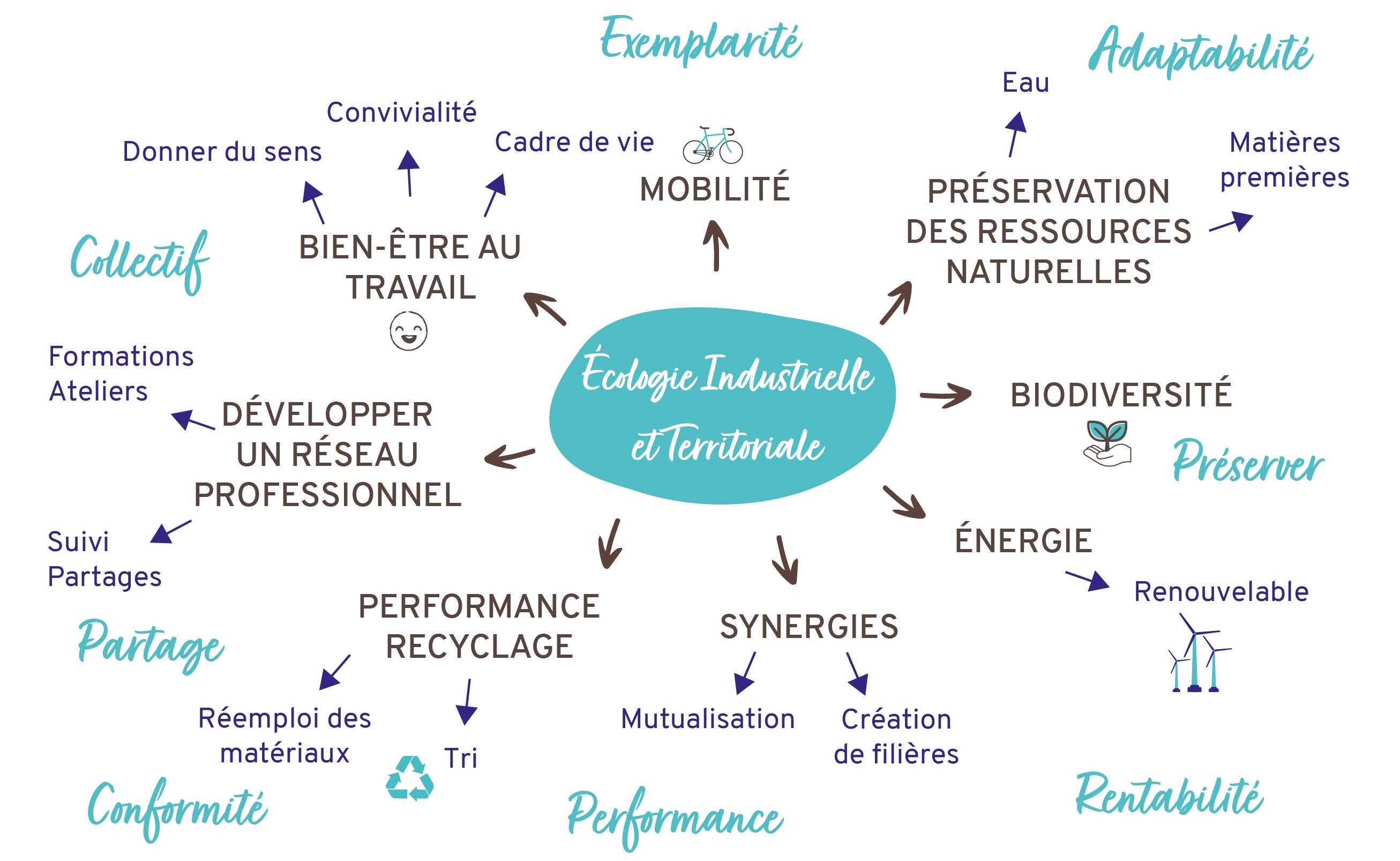 OM Prev-mind map