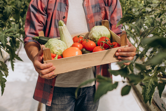 farmer-in-greenhouse-holding-box-of-vegetables