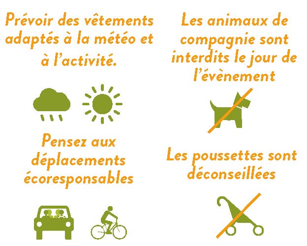 Tous en foret -infos