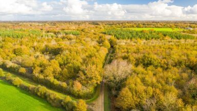 boisement sainte flaive des loups
